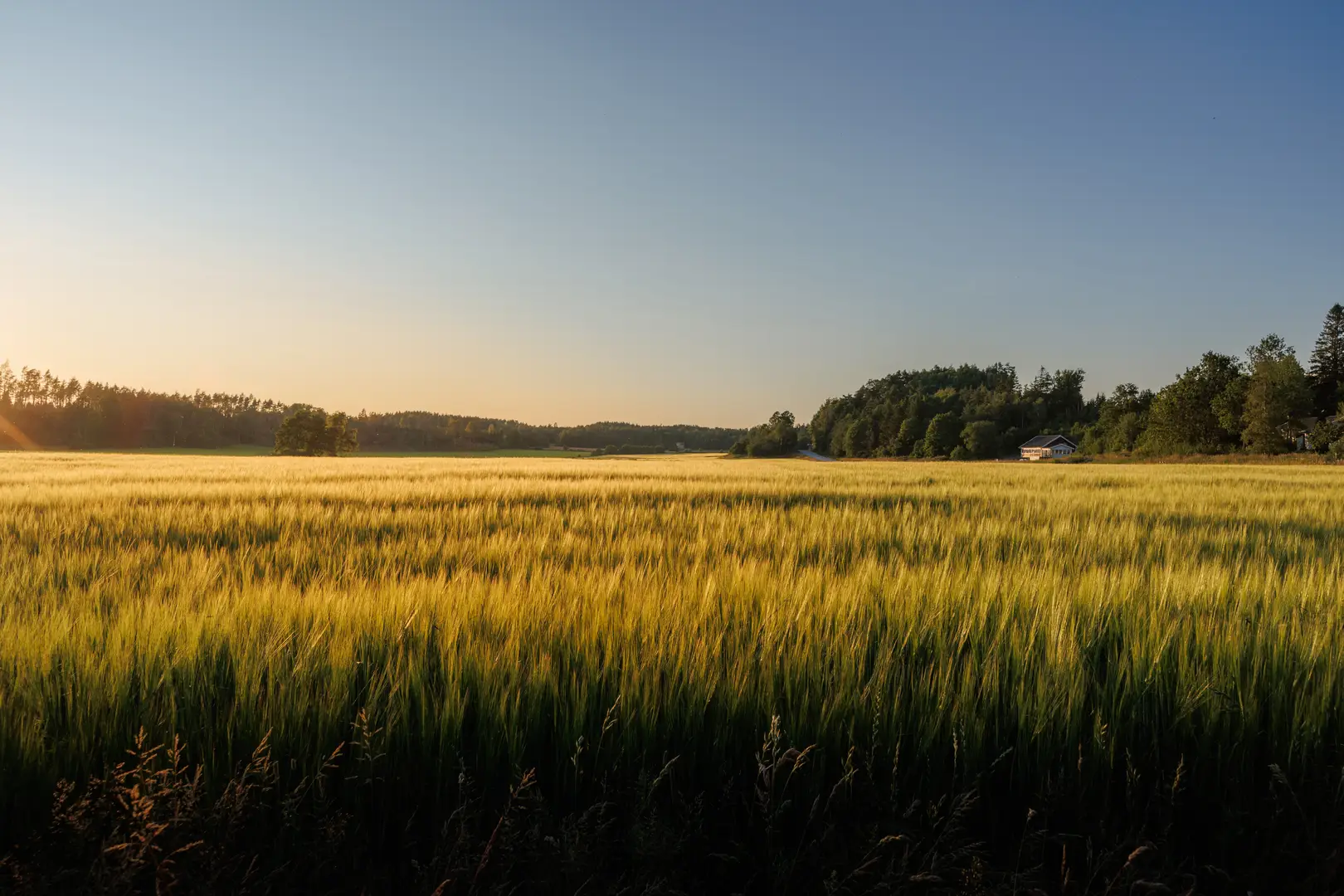 Radonsanering Mölnlycke